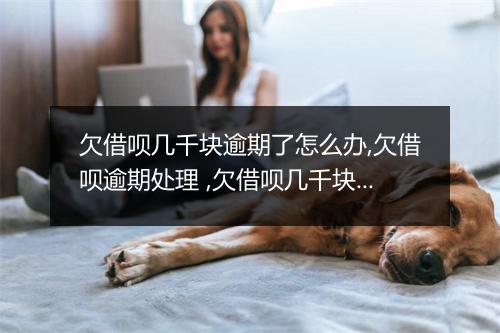 欠借呗几千块逾期了怎么办,欠借呗逾期处理 ,欠借呗几千块逾期后果及解决办法