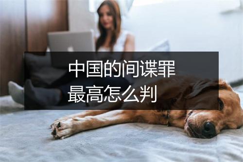 中国的间谍罪最高怎么判