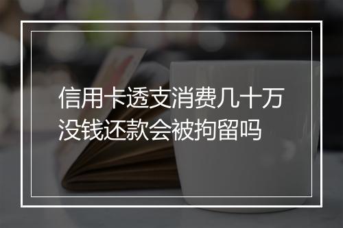信用卡透支消费几十万没钱还款会被拘留吗