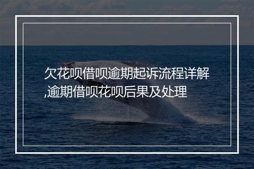 欠花呗借呗逾期起诉流程详解,逾期借呗花呗后果及处理