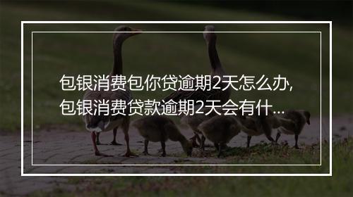 包银消费包你贷逾期2天怎么办,包银消费贷款逾期2天会有什么后果