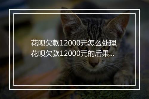 花呗欠款12000元怎么处理,花呗欠款12000元的后果及解决办法