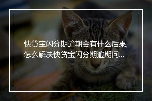快贷宝闪分期逾期会有什么后果,怎么解决快贷宝闪分期逾期问题