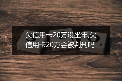 欠信用卡20万没坐牢,欠信用卡20万会被判刑吗