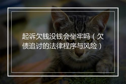 起诉欠钱没钱会坐牢吗（欠债追讨的法律程序与风险）