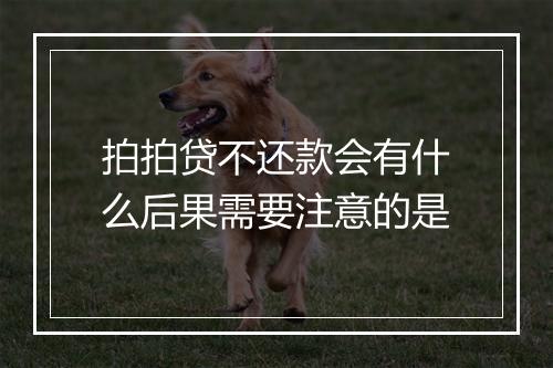 拍拍贷不还款会有什么后果需要注意的是