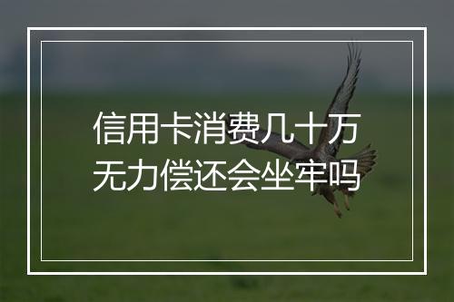 信用卡消费几十万无力偿还会坐牢吗