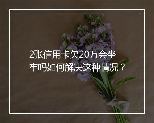 2张信用卡欠20万会坐牢吗如何解决这种情况？