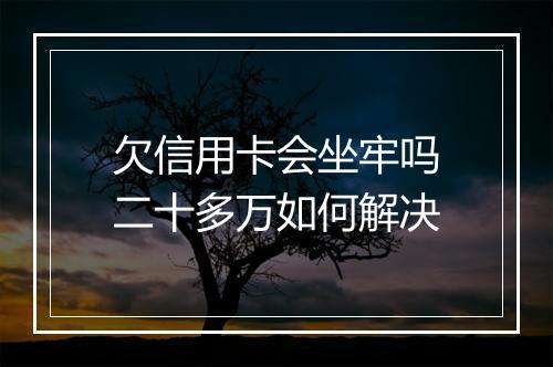 欠信用卡会坐牢吗二十多万如何解决