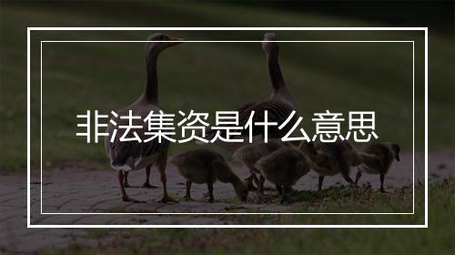 非法集资是什么意思