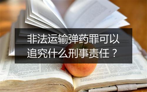 非法运输弹药罪可以追究什么刑事责任？