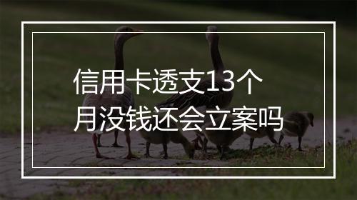 信用卡透支13个月没钱还会立案吗
