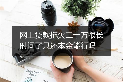 网上贷款拖欠二十万很长时间了只还本金能行吗