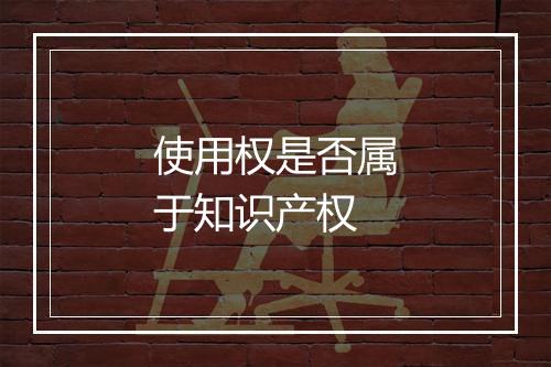 使用权是否属于知识产权