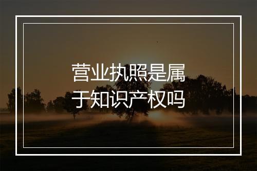 营业执照是属于知识产权吗
