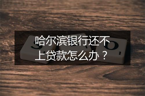 哈尔滨银行还不上贷款怎么办？