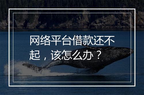 网络平台借款还不起，该怎么办？