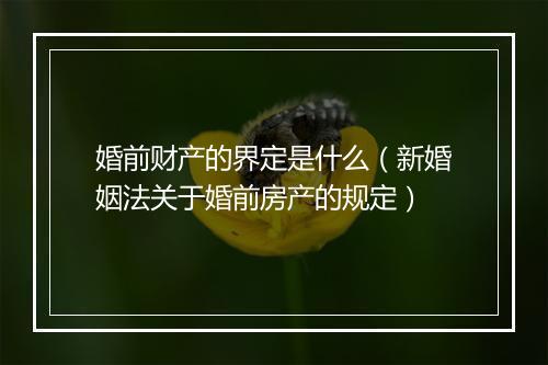 婚前财产的界定是什么（新婚姻法关于婚前房产的规定）