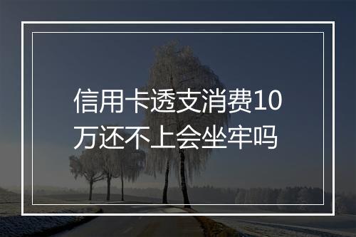 信用卡透支消费10万还不上会坐牢吗