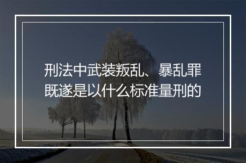 刑法中武装叛乱、暴乱罪既遂是以什么标准量刑的