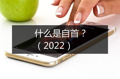 什么是自首？（2022）