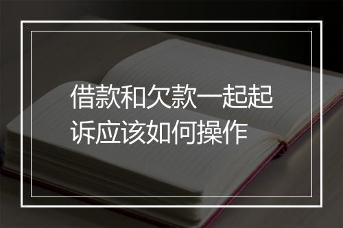 借款和欠款一起起诉应该如何操作