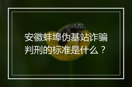 安徽蚌埠伪基站诈骗判刑的标准是什么？