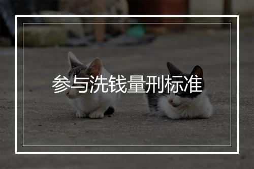 参与洗钱量刑标准