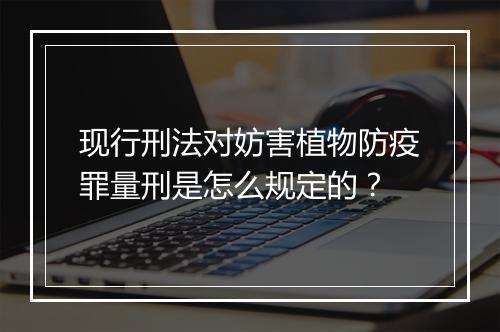 现行刑法对妨害植物防疫罪量刑是怎么规定的？