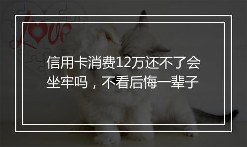 信用卡消费12万还不了会坐牢吗，不看后悔一辈子
