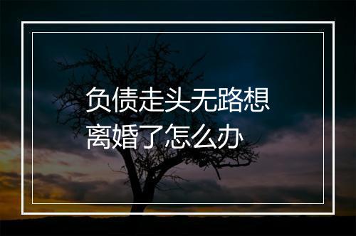 负债走头无路想离婚了怎么办