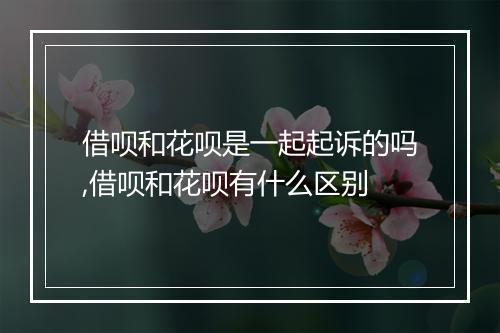 借呗和花呗是一起起诉的吗,借呗和花呗有什么区别