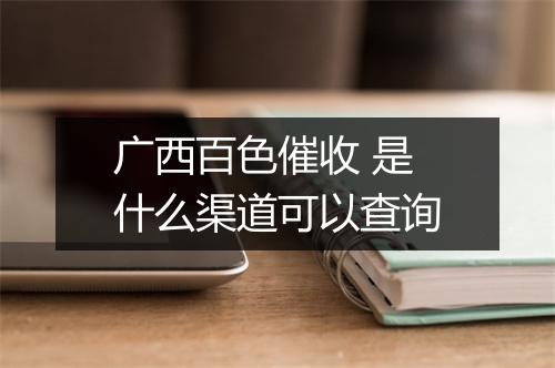 广西百色催收 是什么渠道可以查询