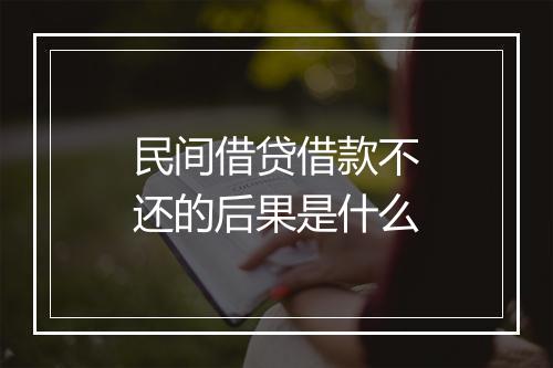 民间借贷借款不还的后果是什么