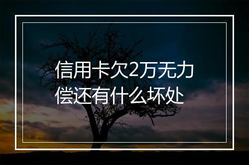 信用卡欠2万无力偿还有什么坏处