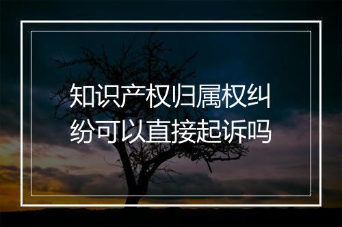 知识产权归属权纠纷可以直接起诉吗