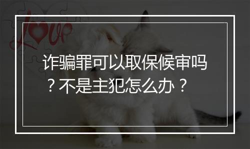 诈骗罪可以取保候审吗？不是主犯怎么办？