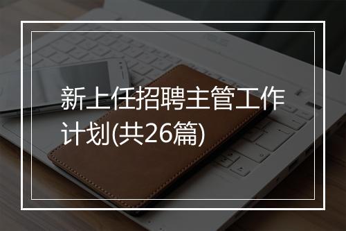 新上任招聘主管工作计划(共26篇)