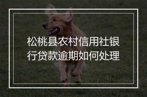 松桃县农村信用社银行贷款逾期如何处理