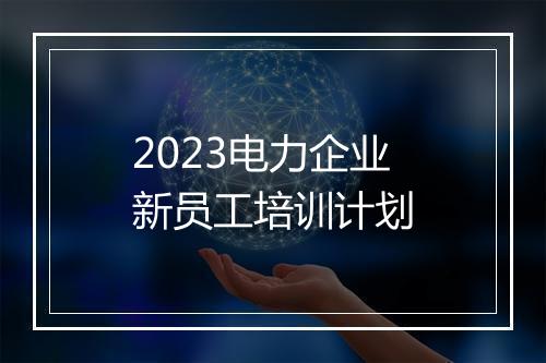 2023电力企业新员工培训计划