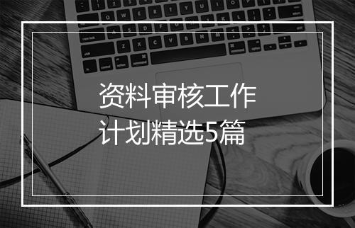 资料审核工作计划精选5篇