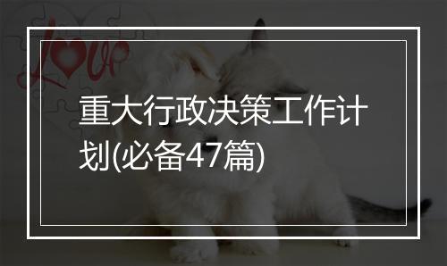 重大行政决策工作计划(必备47篇)