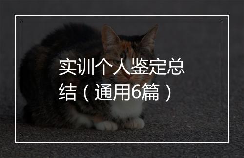 实训个人鉴定总结（通用6篇）