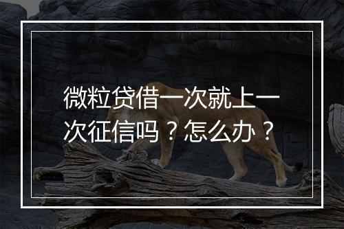 微粒贷借一次就上一次征信吗？怎么办？