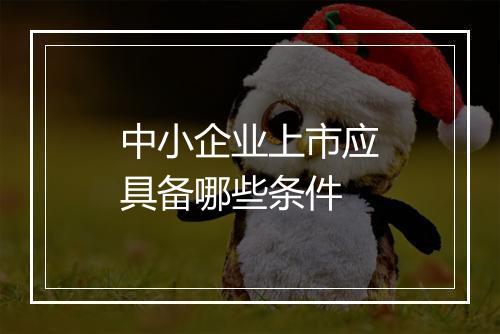 中小企业上市应具备哪些条件