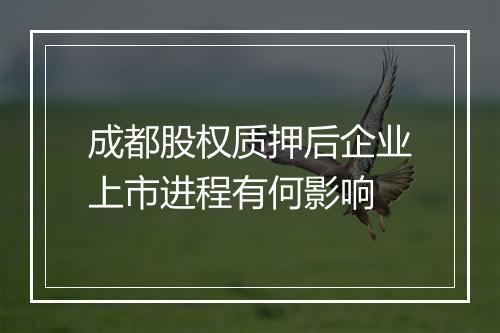 成都股权质押后企业上市进程有何影响