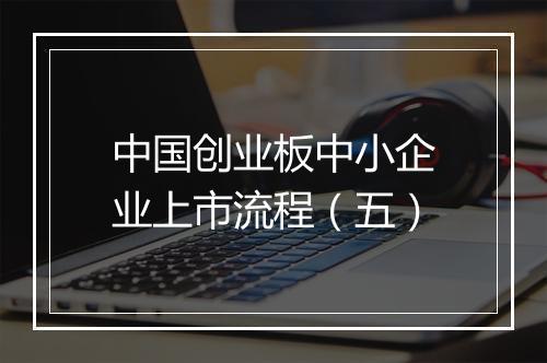 中国创业板中小企业上市流程（五）