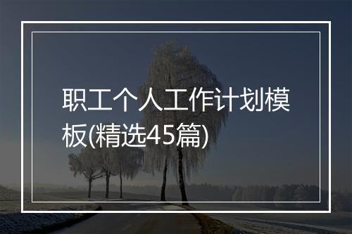 职工个人工作计划模板(精选45篇)