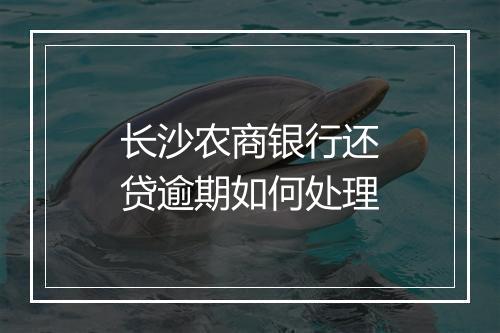 长沙农商银行还贷逾期如何处理