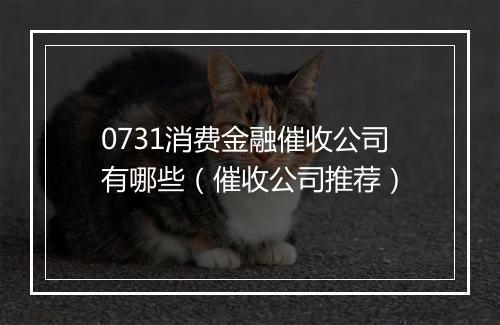 0731消费金融催收公司有哪些（催收公司推荐）